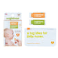 oogiebear mini nose balm and chest rub kit